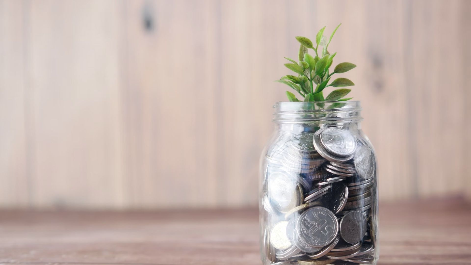 ¿Qué es un Fondo Común de Inversión?