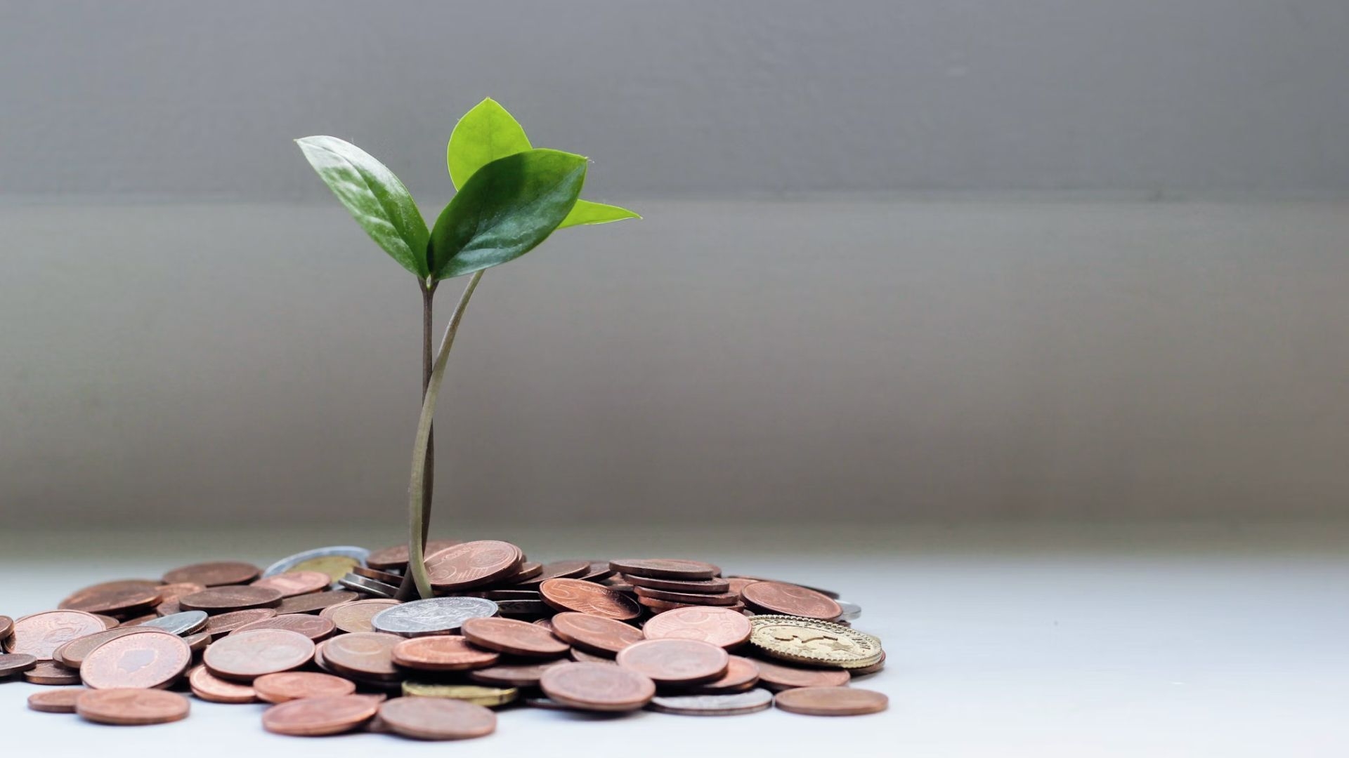 Take Profit y Stop Loss – Protegé y optimizá tus inversiones